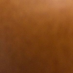 Meet your Posher, Savannah